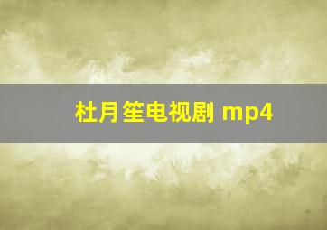 杜月笙电视剧 mp4